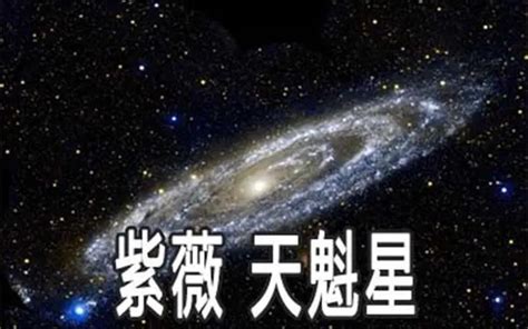 天魁坐命宮|天魁星介绍，天魁星在十二人事宫 – 紫微麥 